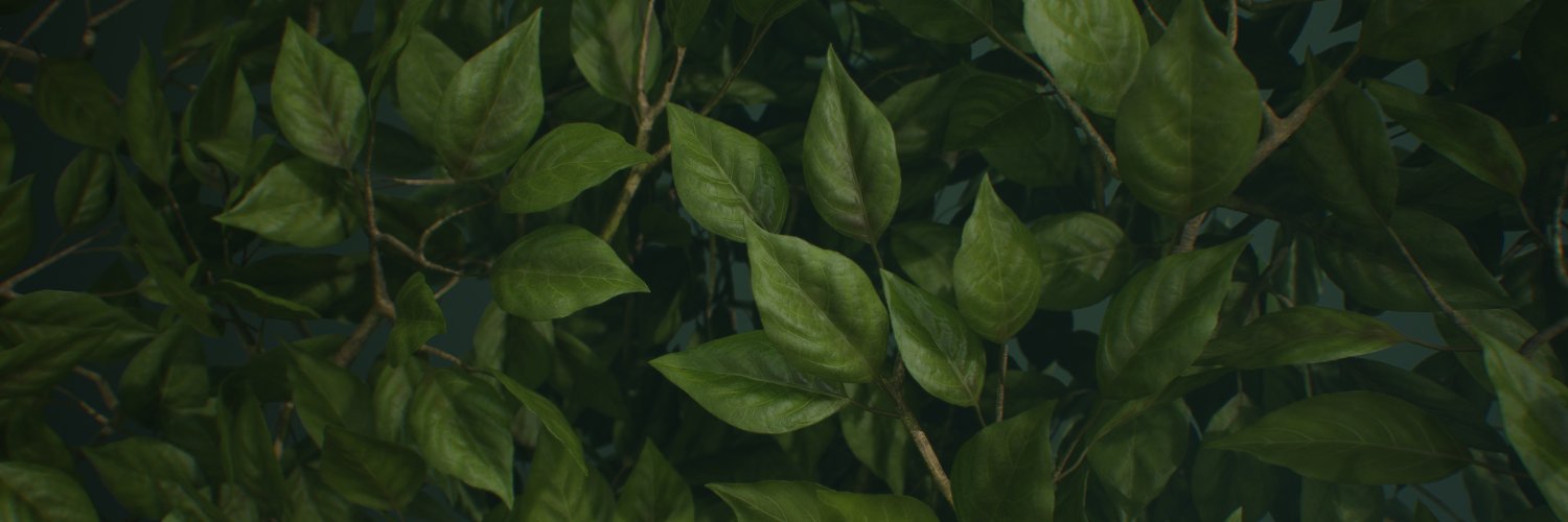 Anthony O Donnell banner