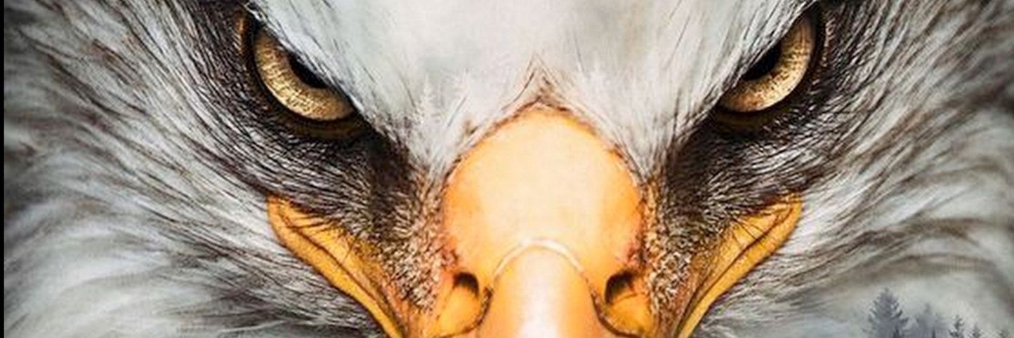 CityDespa's profile banner image