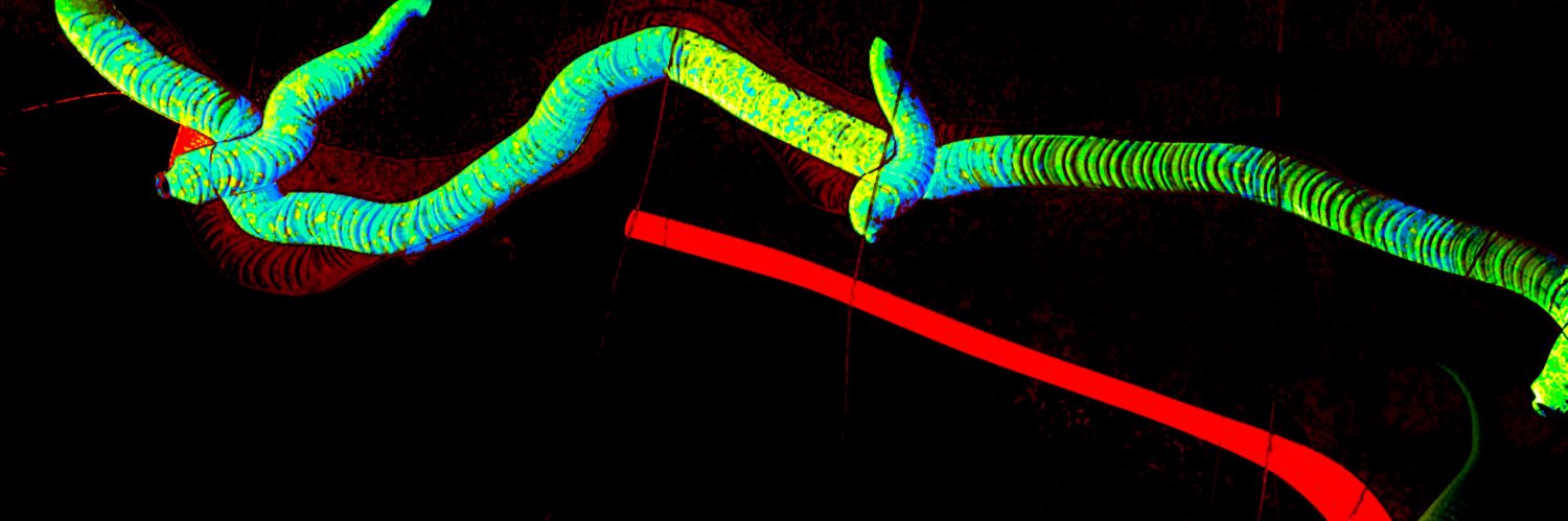 NewWorldWriting banner