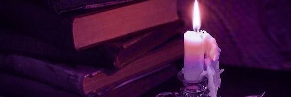 Shining_Foxfire Profile Banner