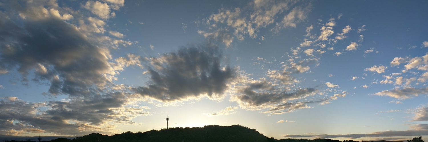 AiBirdie's profile banner image