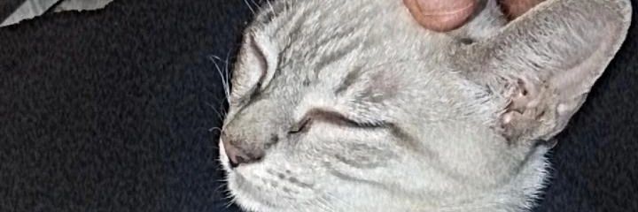 _marii90's profile banner image