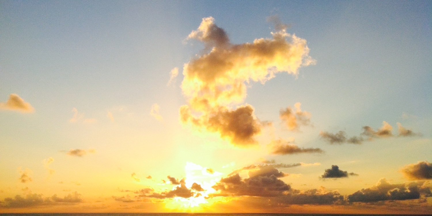 Dominique Armand banner