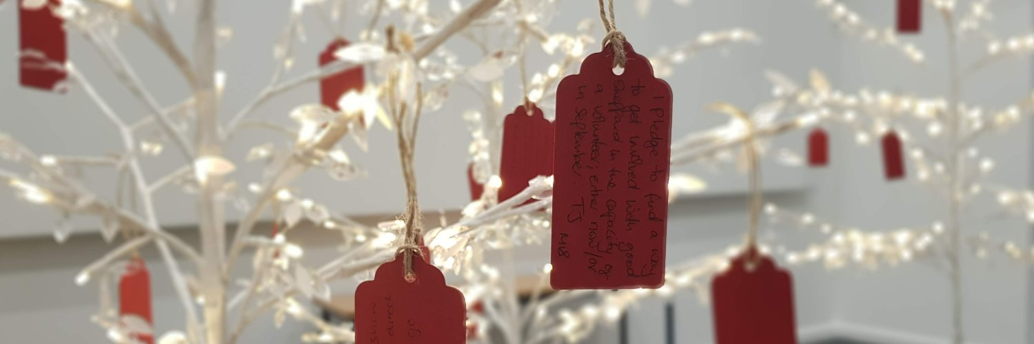 DonnaHardingWLV's profile banner image