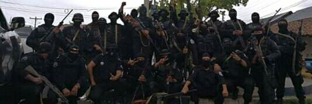 Zorro banner