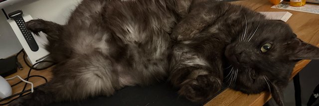 possiblydiane's profile banner image