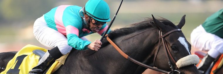 Pick5King.com banner