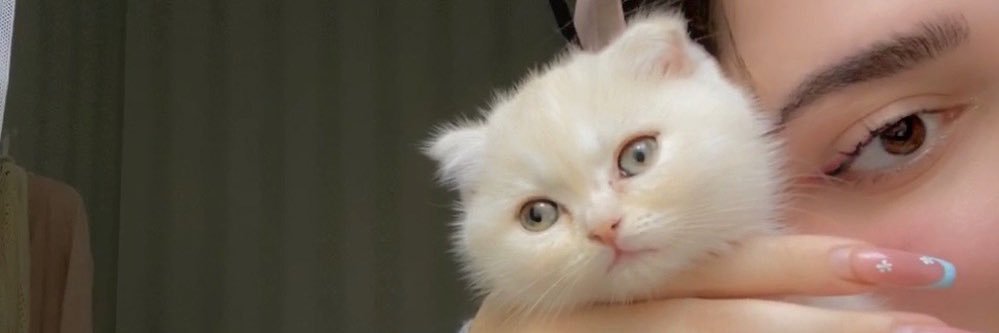 NoveenAjeeb's profile banner image