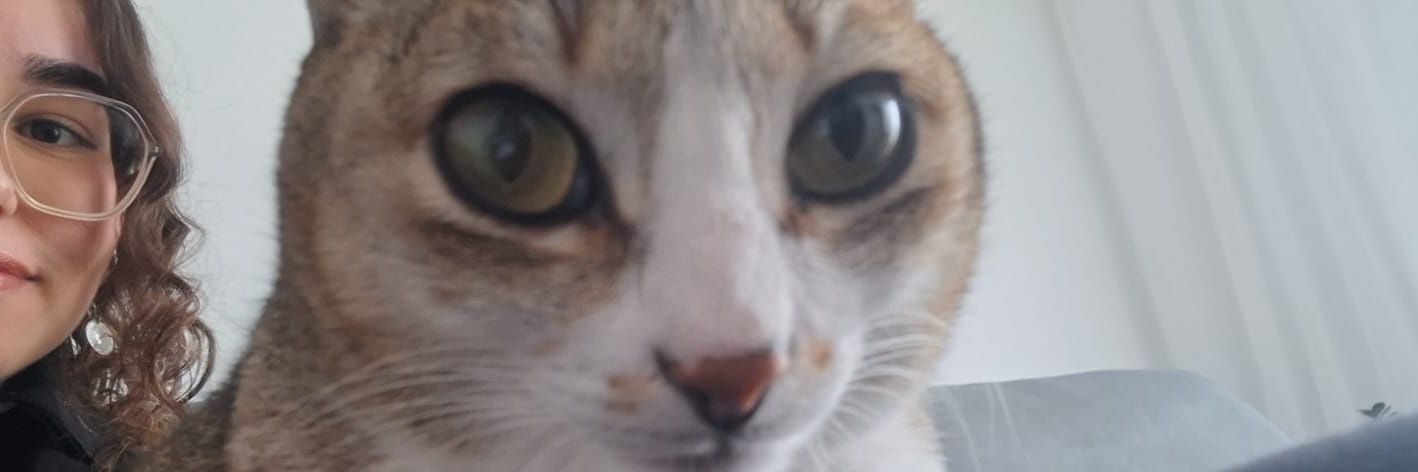 dawnfmz's profile banner image