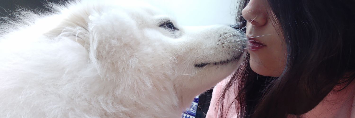 rorito99's profile banner image