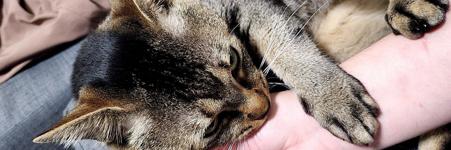 kuStyle/邦代 banner