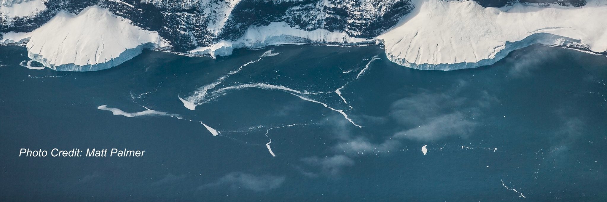 Antarctic and Southern Ocean Coalition's banner