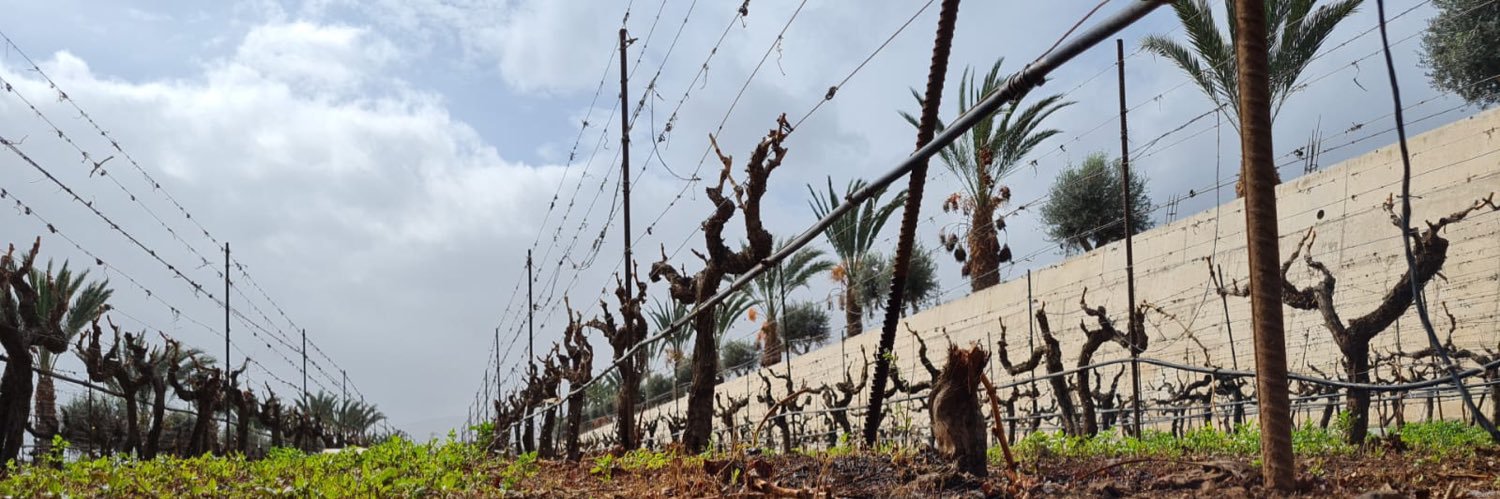 BODEGASCHP's profile banner image