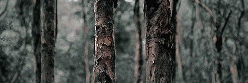 Gabriela ♡ banner
