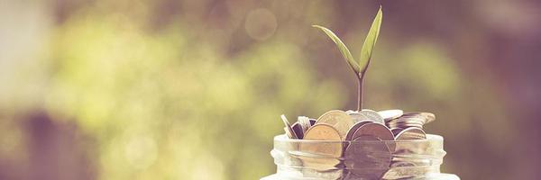 Accountant Profile Banner