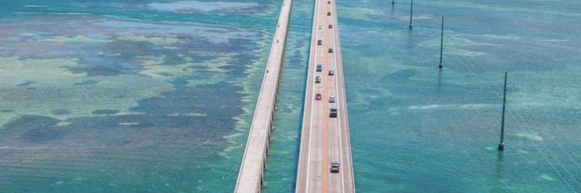 Rosemarie Lane 🇺🇸🏴‍☠️🏝🎣🐶 banner