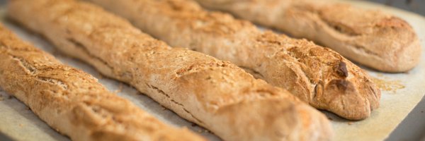 nokusu Profile Banner