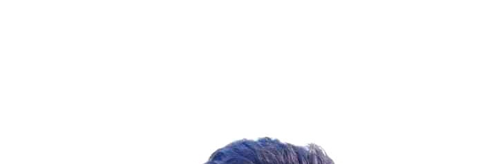 Shoukatali0307's profile banner image