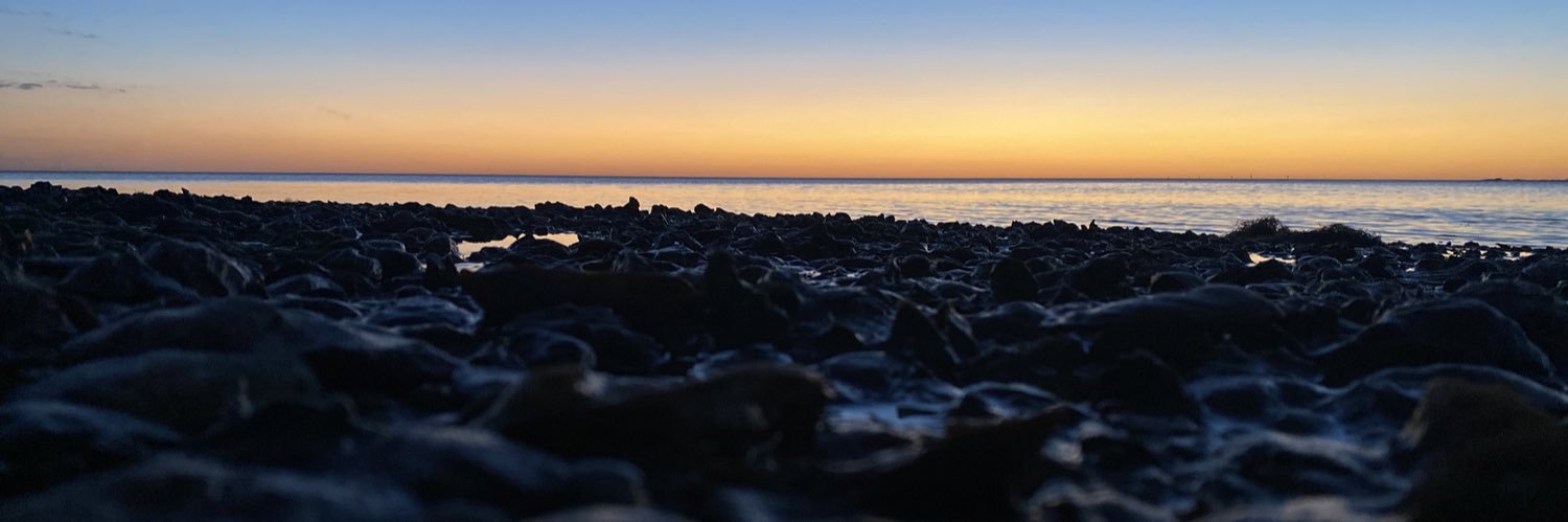 layneemay's profile banner image