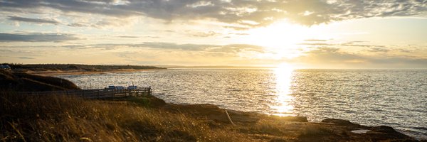 CavendishBeach Profile Banner