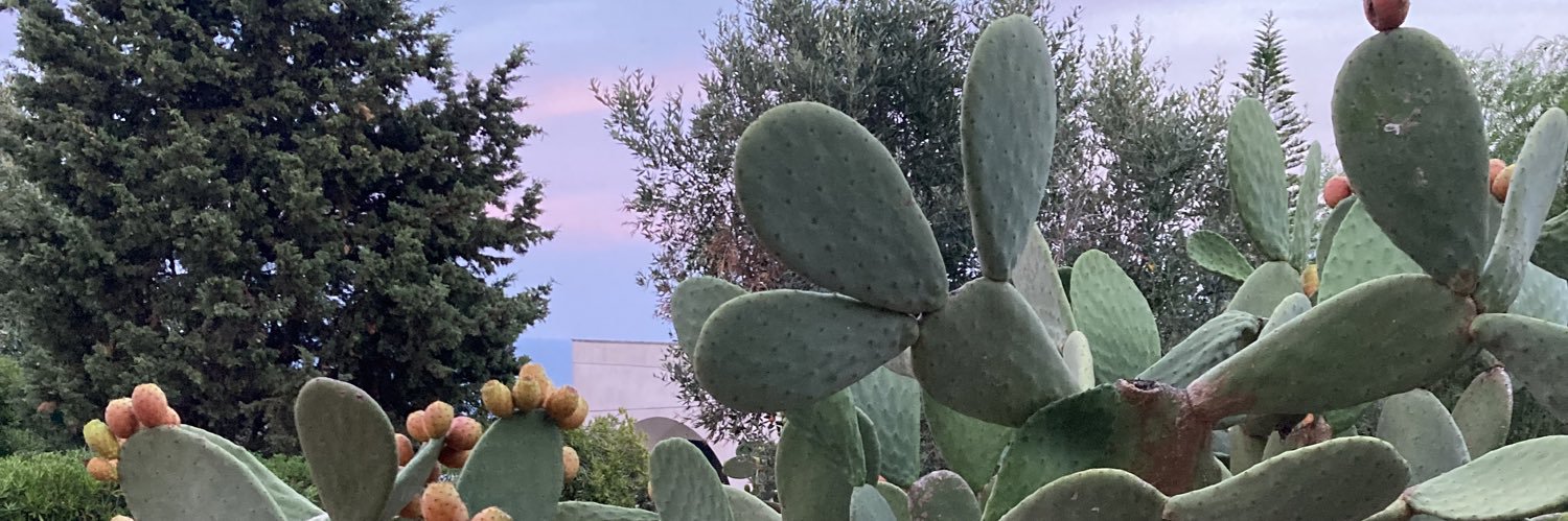 Jose Maria Robles Fraga banner