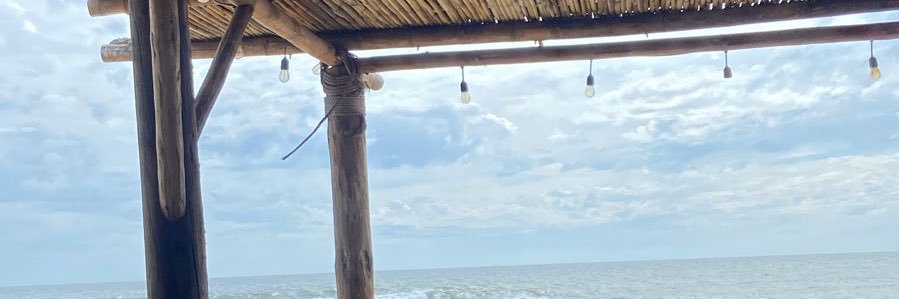 carolinacf___'s profile banner image