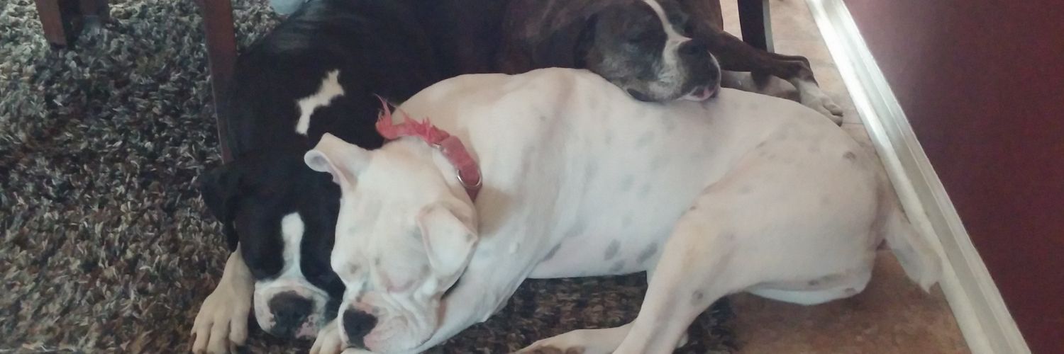 ComingCleanMom's profile banner image