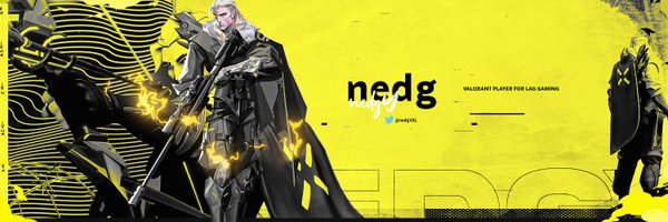 nedgVAL Profile Banner