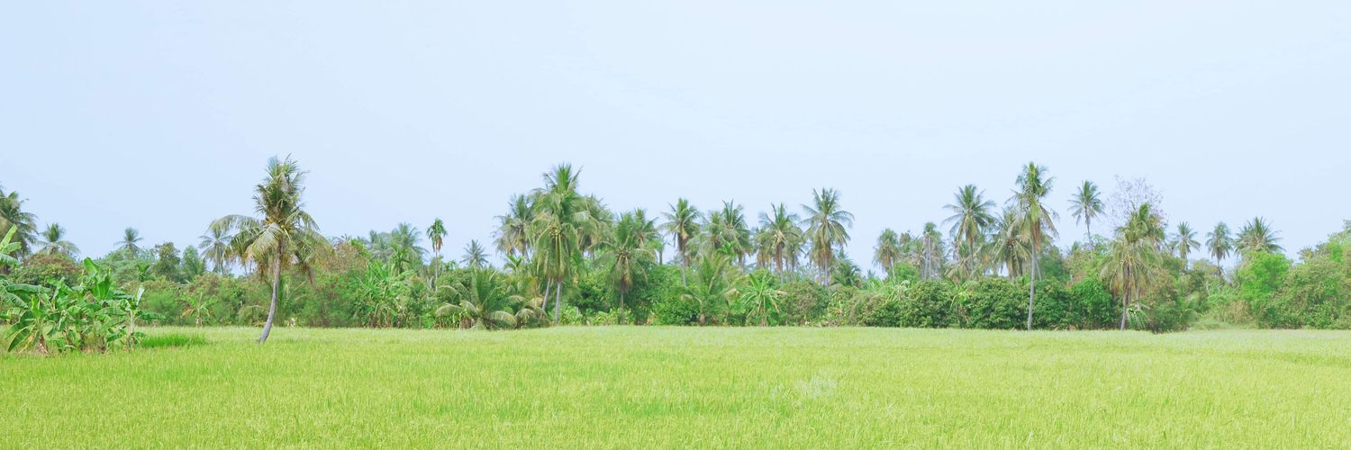 picolinn's profile banner image