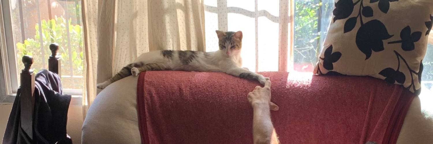 Meliina_OK's profile banner image