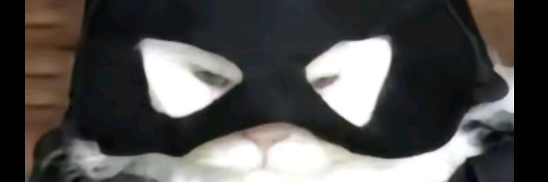 Strank banner