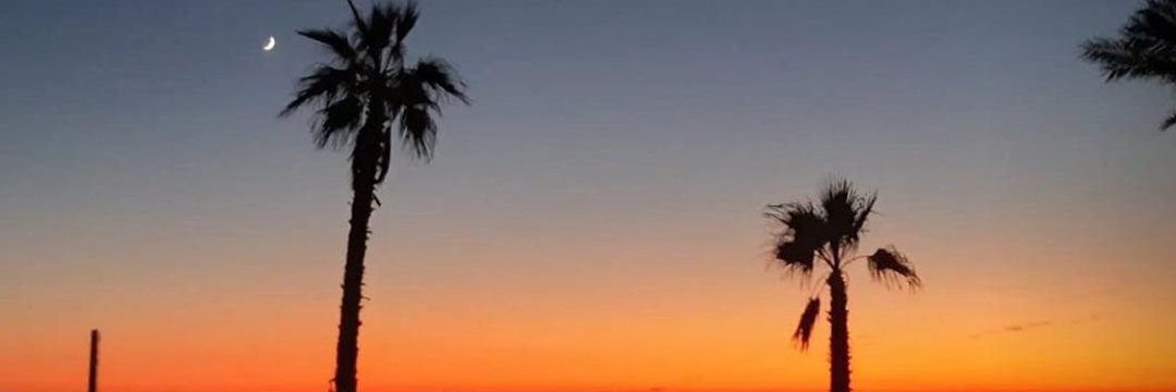 PibeFlex's profile banner image