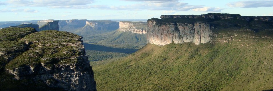 @tvpollet.bsky.social banner