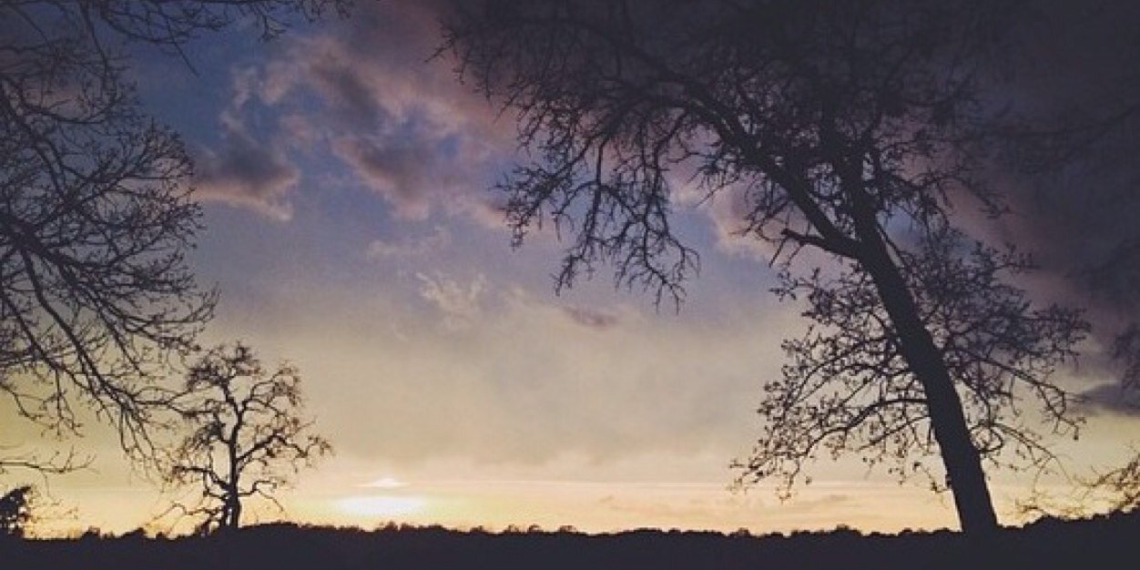 bryn_westbrook's profile banner image