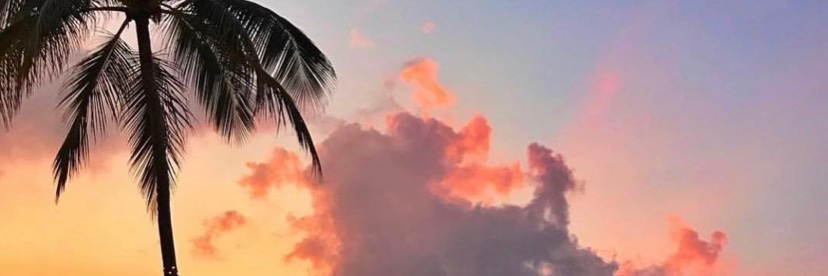 NaeMonroee's profile banner image