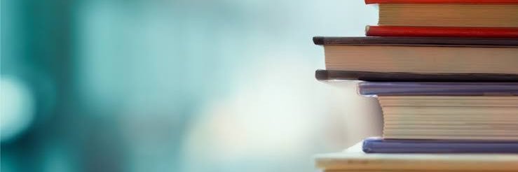 Marcos Pérez Esquer banner