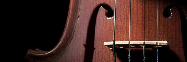 OCTAVIO ELSACTE PALM banner