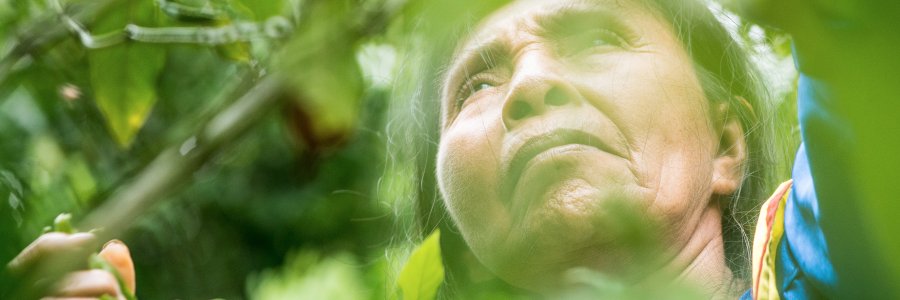 Instituto Chaikuni banner