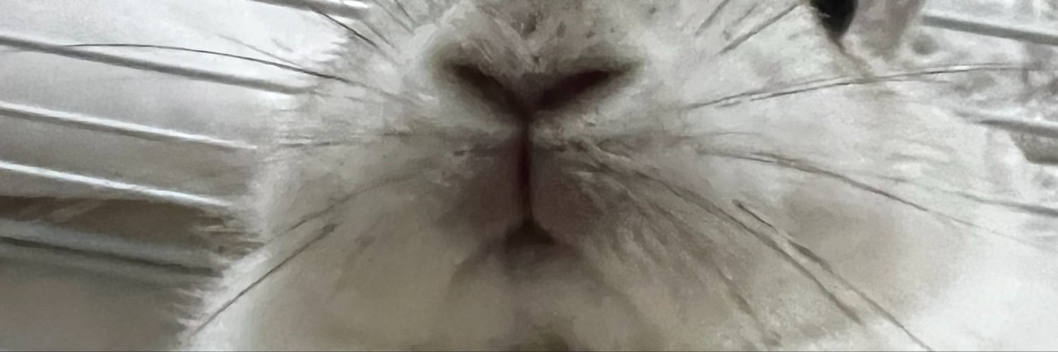 _papipupeputaro's profile banner image