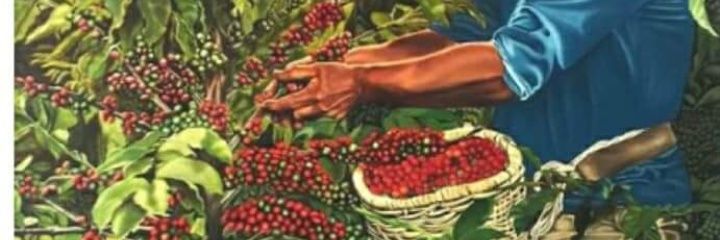 JOSE®MARTTIN banner