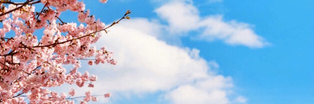 Aynur banner