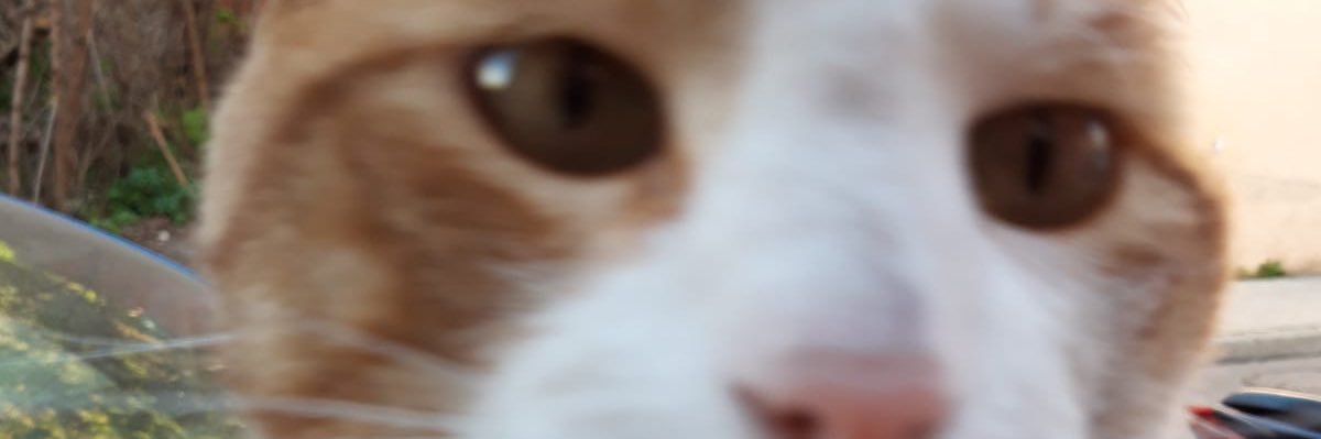 ikerrne's profile banner image