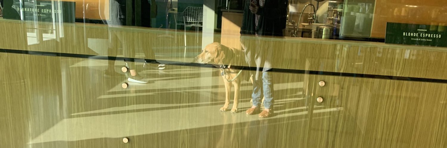 CanineOrgDog's profile banner image
