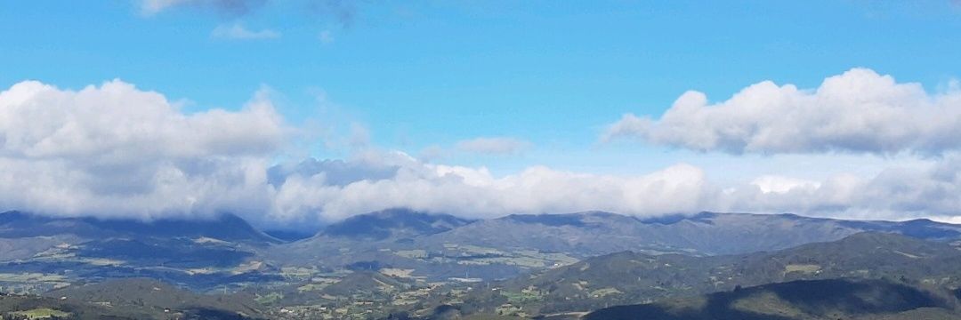 Pacholitico's profile banner image