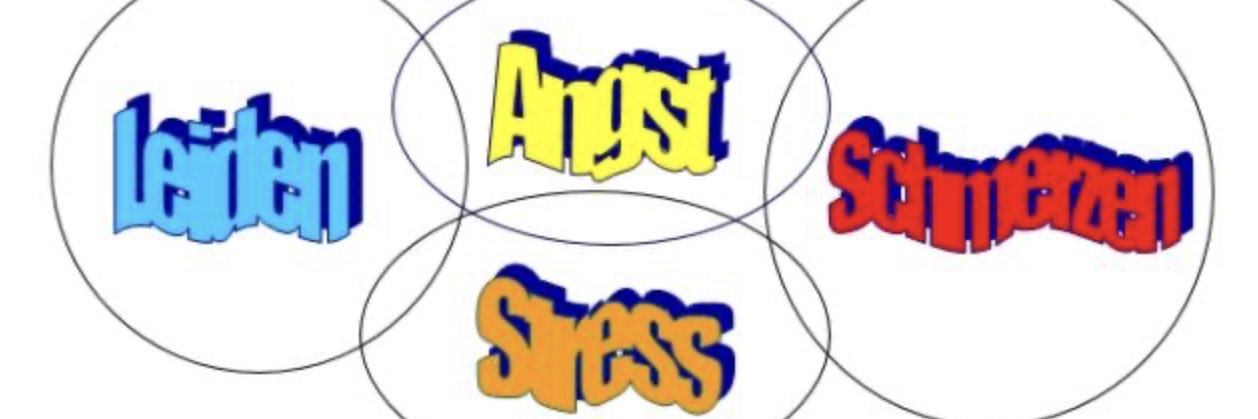 labrat guy (AF:snailb0t)'s banner