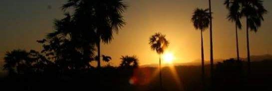 PATRICIA REYES banner