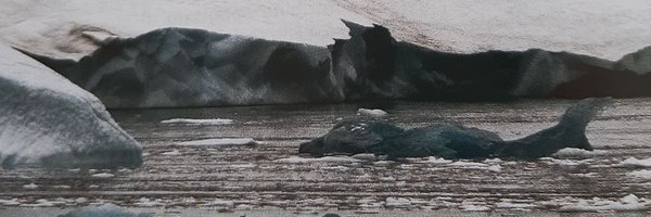 BlueRiv88891964 Profile Banner