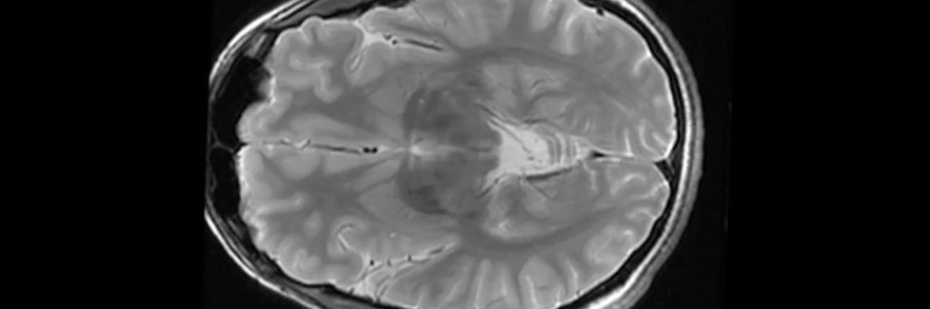 Neil Chatterjee banner