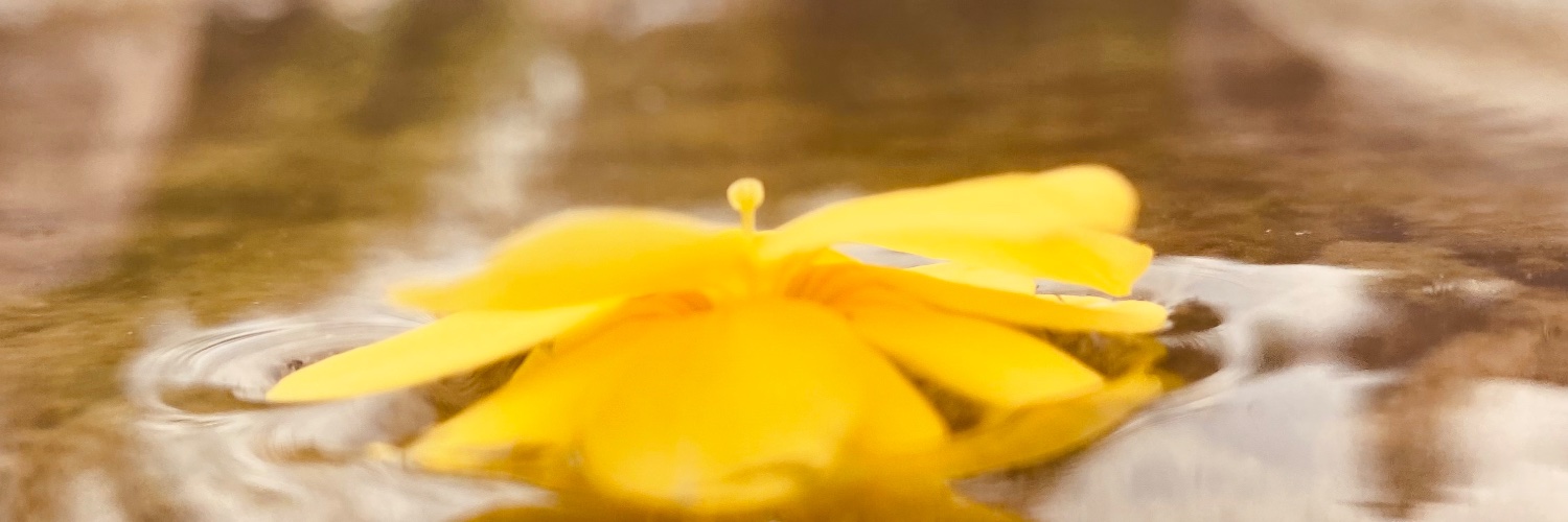 Sinemalpp's profile banner image