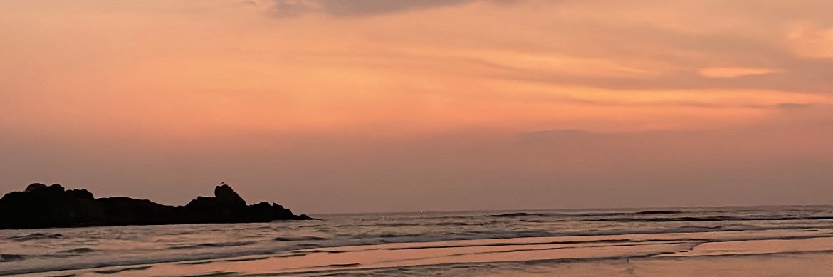 vishmijpathy's profile banner image